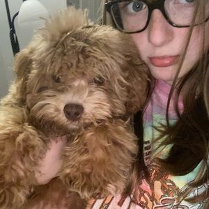 Meet your Posher, Lenah